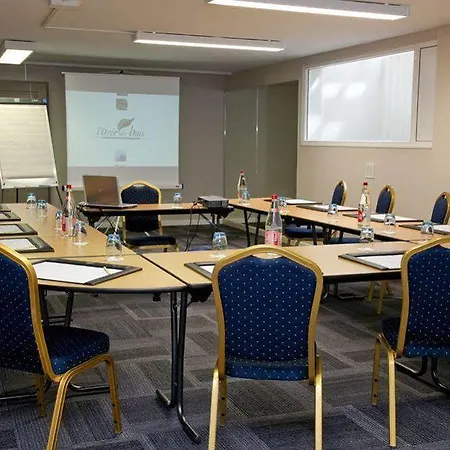 Hotel L'oree Du Bois Vittel