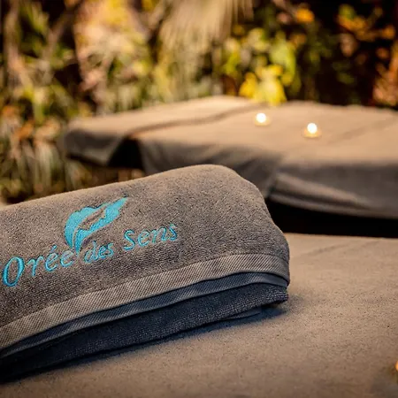 L'oree Du Bois Vittel